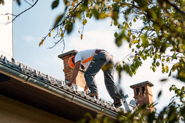 Best Roofing Contractors for Homes  in Zilwaukee, MI